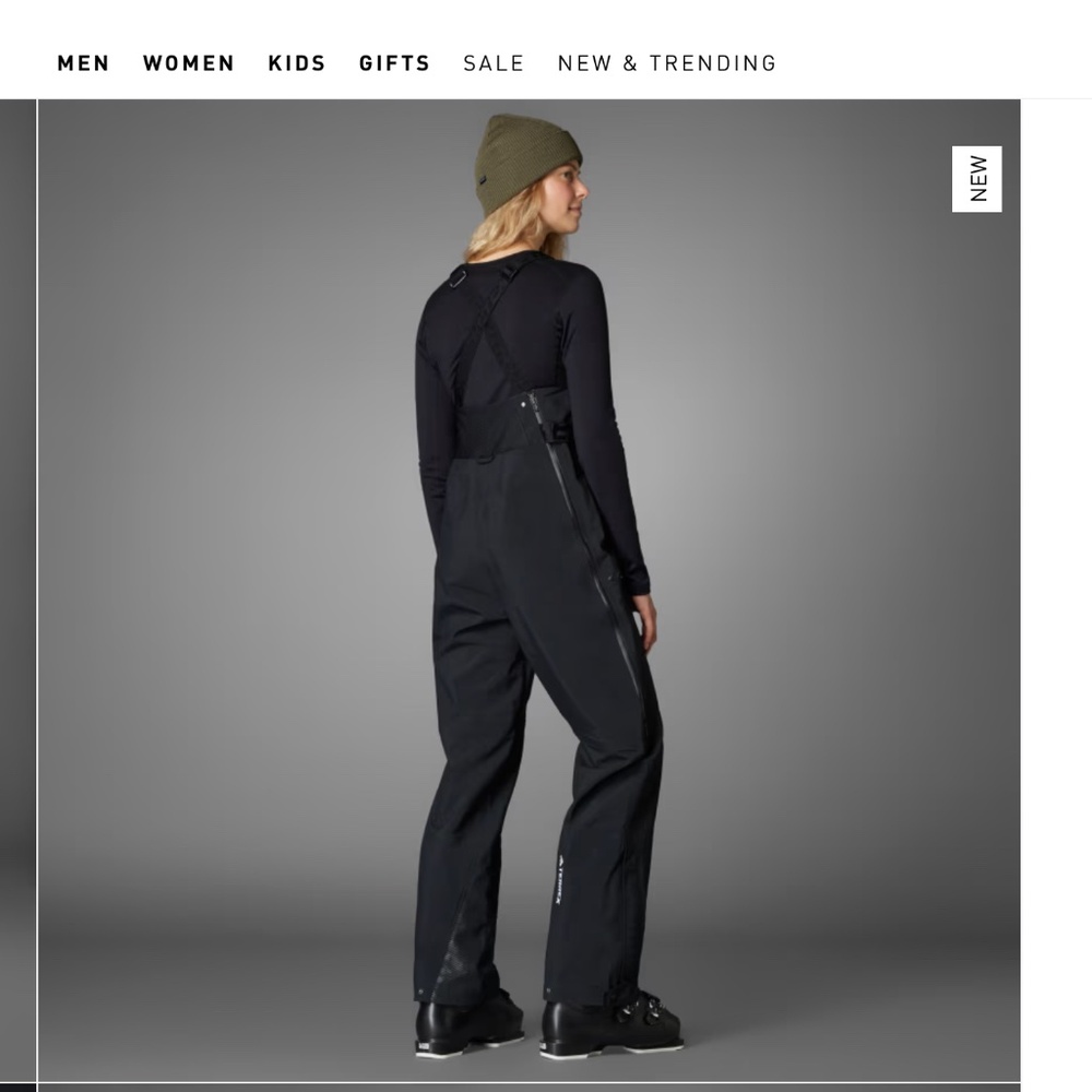 TERREX TECHROCK 3L GORE-TEX C-KNIT BIB PANTS NEW